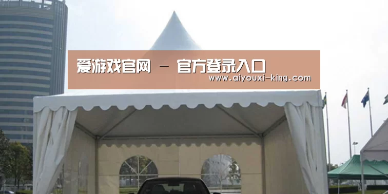 案例标题八