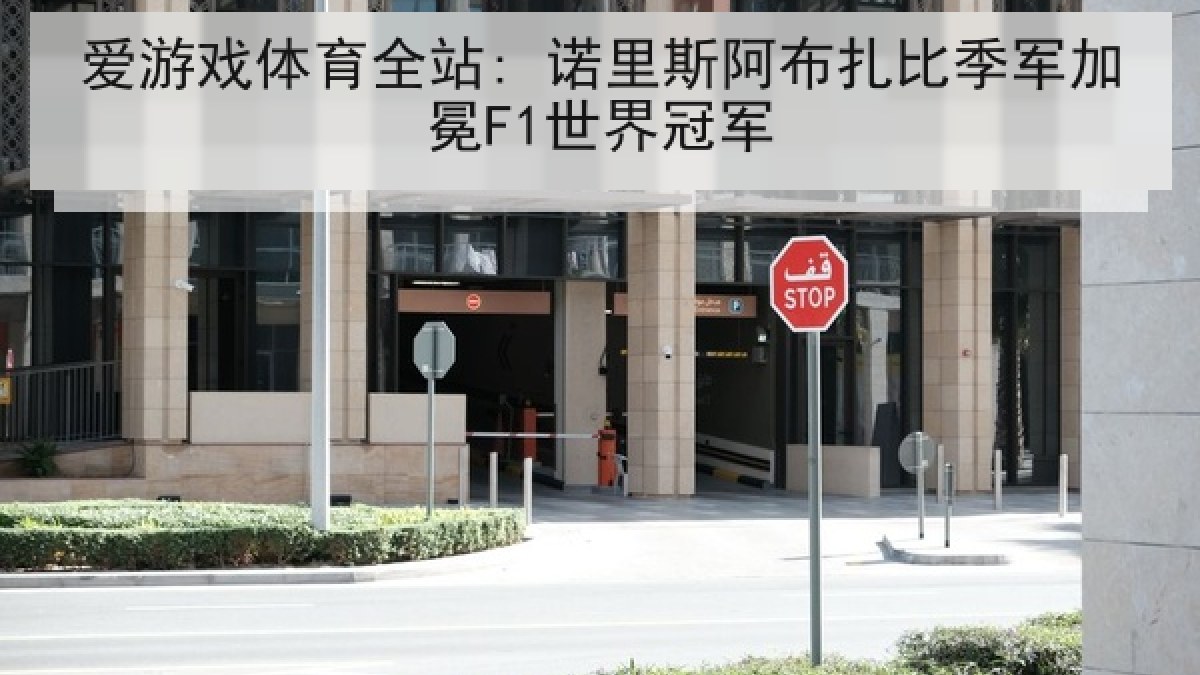 爱游戏体育全站: 诺里斯阿布扎比季军加冕F1世界冠军