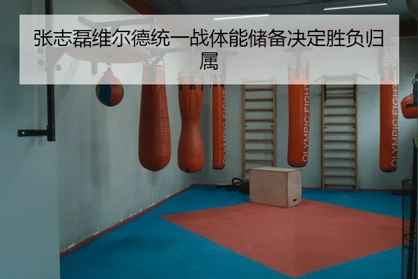 zhang-zhi-lei-wei-er-de-tong-yi-zhan-ti-neng-chu-bei-jue-ding-sheng-fu-gui-shu-3-843.jpg