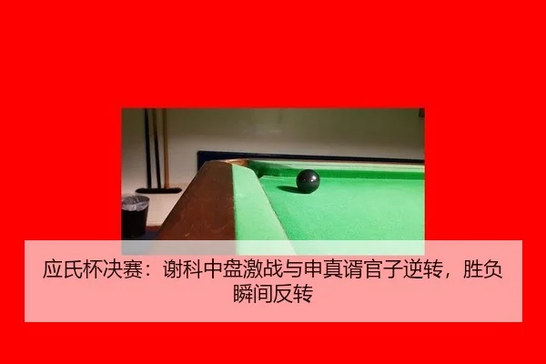 ying-shi-bei-jue-sai-xie-ke-zhong-pan-ji-zhan-yu-shen-zhen-xu-guan-zi-ni-zhuan-sheng-fu-shun-jian-fan-zhuan-2-725.jpg