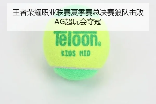 王者荣耀职业联赛夏季赛总决赛狼队击败AG超玩会夺冠
